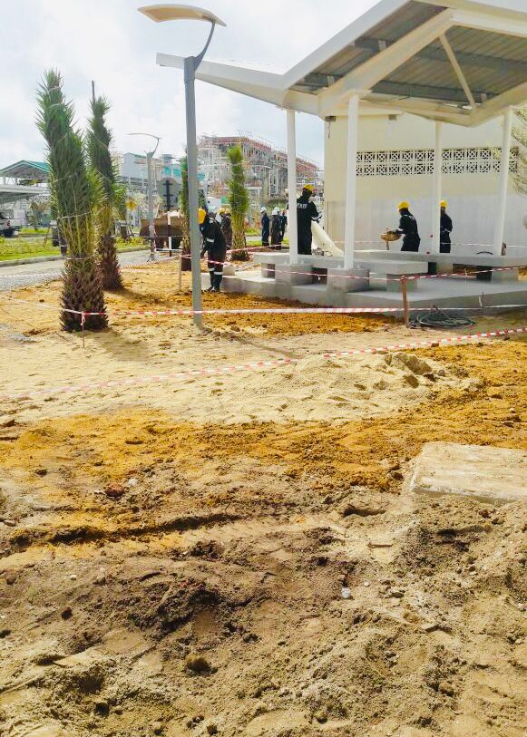 proses menanam bermuda grass -tgast