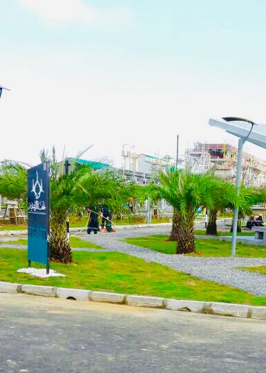 bermuda grass - petronas (TGAST)