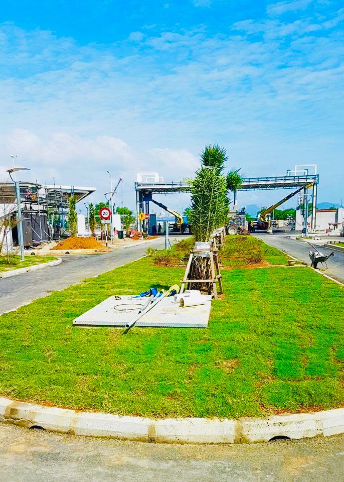 bermuda grass petronas Terengganu