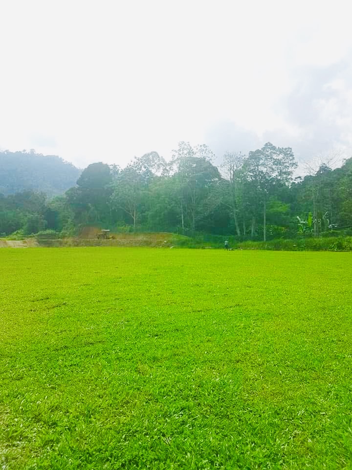 Projek Landskap & Padang Bola