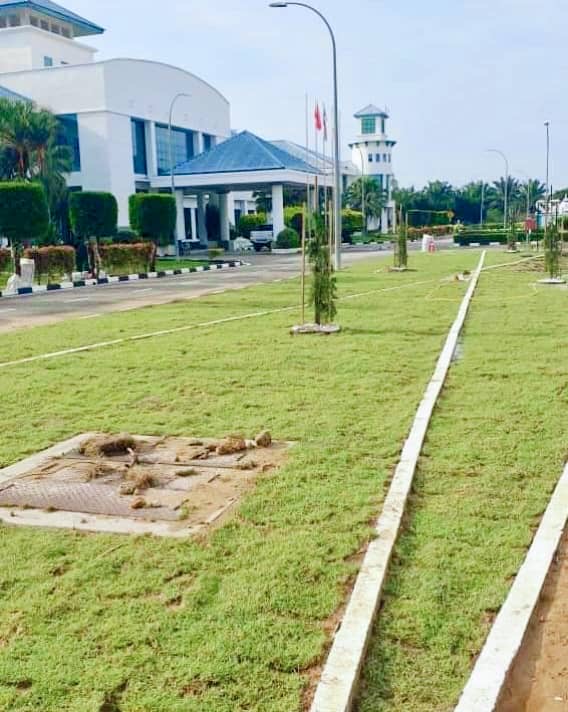 Penghantaran philippine grass ke Petronas Gurun kedah