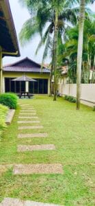 Philipine grass Pembekal Rumput Malaysia