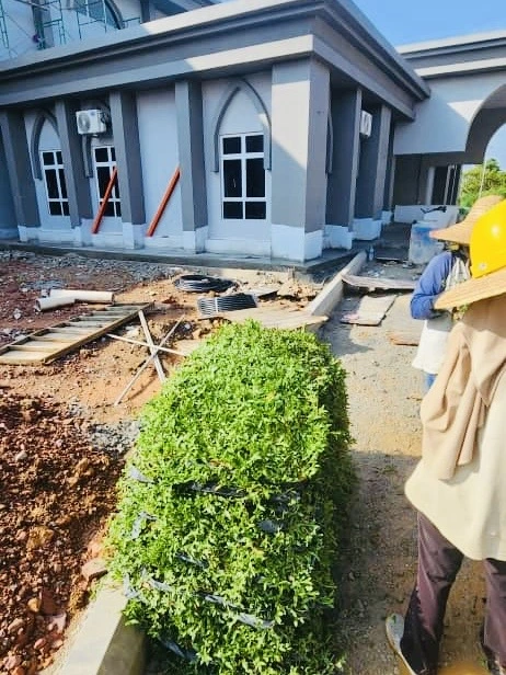 hantar Rumput