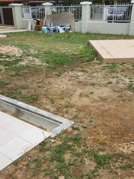 gambar sebelum menanam Rumput