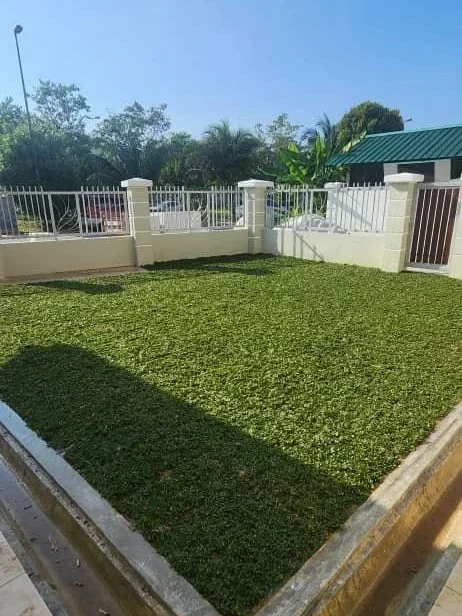 Pemasangan pearl grass selesai