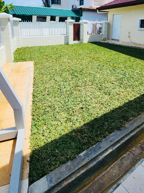 Rumput sungai petani
