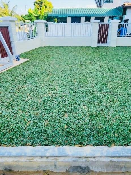 hantar Rumput