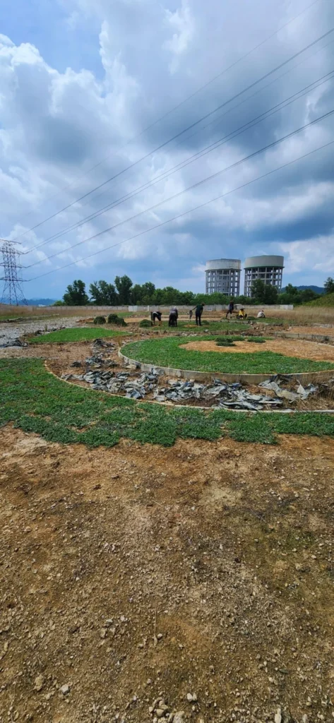 pembekal rumput Selangor