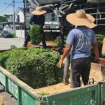 SUPPLIER RUMPUT