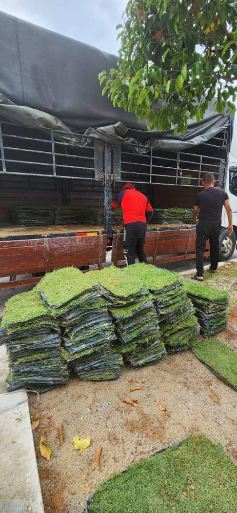 penghantaran rumput philipine