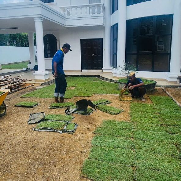 pembekal rumput shah alam