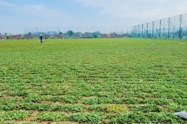penghantaran rumput sungai petani